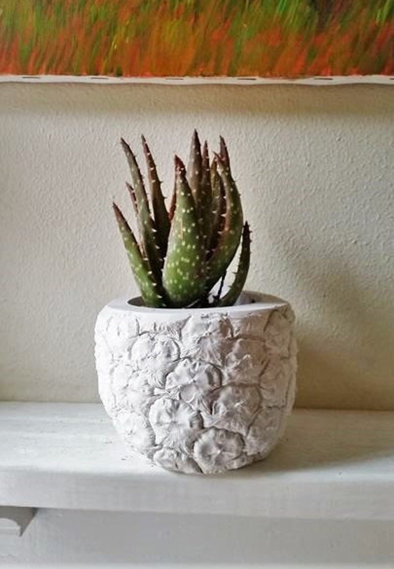 Pineapple shaped planter, Pineapple gift, pineapple decoration, Succulent planter, tropical decor, housewarming gift, hospitality image 3