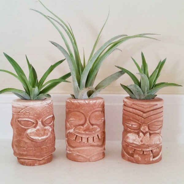 Tiki totem air plant holders, Hawaiian, Island style, Tahitian, Hawaiian decor, Polynesian, beach wedding gift