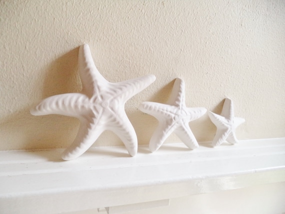 Estrellas de mar colgantes de pared, familia de estrellas de mar, decoración  náutica, esculturas de estrellas