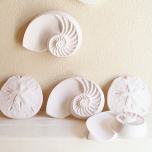 Nautilus Shell Wall Hanging: Beach House Nautical Decor