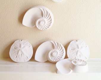 Sea shell wall art, nautilus shells, nautical decor, sea shells, beach house decor accent, tropical, beach wedding