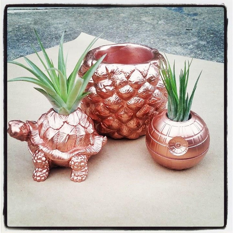 Turtle tortoise planter, air plant holder, tortoise, long life, good luck gift, geometric planter with plant, get well soon, retirement gift image 3