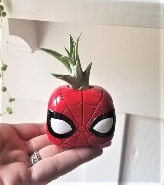 Spider plant man