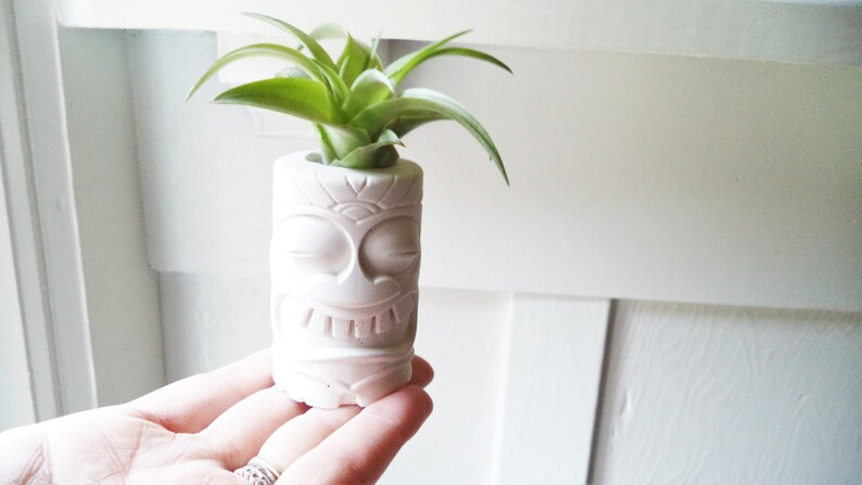 Hawaii Tiki room gift Polynesian Tiki totem mini air plant holders beach wedding party gifts beach wedding gift beach wedding favors