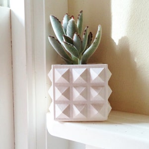 May include: A white geometric planter with a succulent plant. The planter has a square shape with a raised pyramid design on each side.