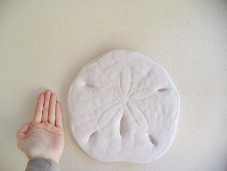 Sand Dollar Wall Hanging Sculpture Sea S Beach Decor Nautical Art Large