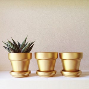 May include: Three gold painted terracotta pots, one with a small green succulent plant. The pots have a rounded shape and a slightly flared lip.