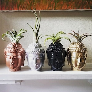 Buddha planter with plant, air plant holder, Thai Buddha, spiritual gift, small desk plant, gold Buddha, inspirational gift, Zen decor image 1