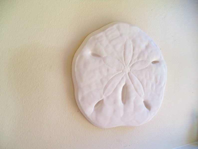 Sand dollar wall hanging sculpture sea shell beach decor | Etsy