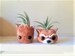 Groot planter gift set, I am Groot, air plant holders, baby Groot, Rocket, desk planter, character planter, character party favors