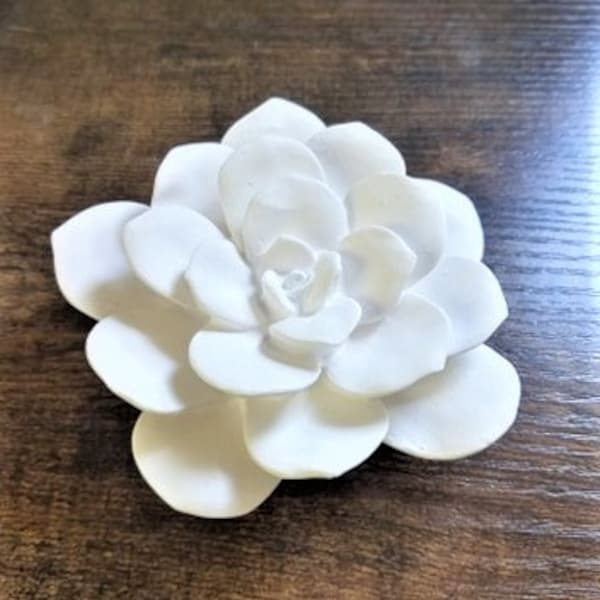 Wall hanging succulent sculpture, flower sculpture, white wall flowers, custom wall flower collection, handmade succulent