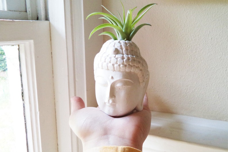 Buddha planter with plant, air plant holder, Thai Buddha, spiritual gift, small desk plant, gold Buddha, inspirational gift, Zen decor image 2