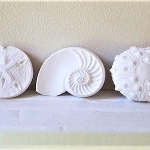 Sea Shell Wall Hanging Art: Nautical Nursery Decor