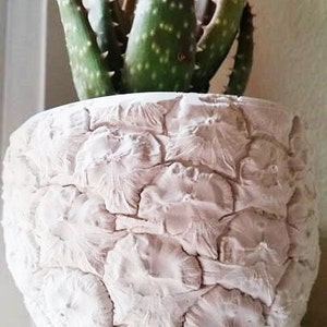 Pineapple shaped planter, Pineapple gift, pineapple decoration, Succulent planter, tropical decor, housewarming gift, hospitality image 2