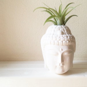 Buddha planter with plant, air plant holder, Thai Buddha, spiritual gift, small desk plant, gold Buddha, inspirational gift, Zen decor image 3