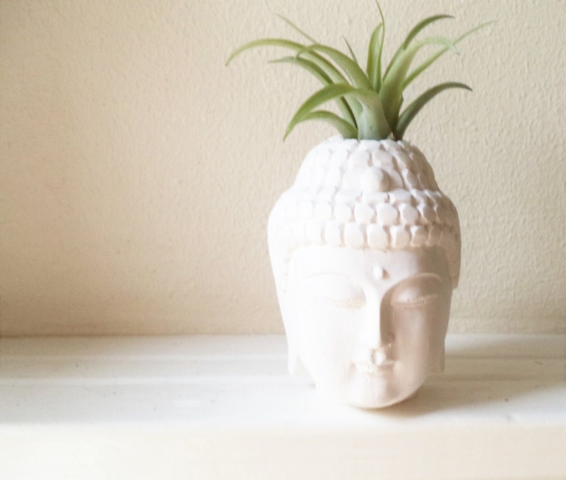 Buddha planter with plant, air plant holder, Thai Buddha, spiritual gift, small desk plant, gold Buddha, inspirational gift, Zen decor image 3