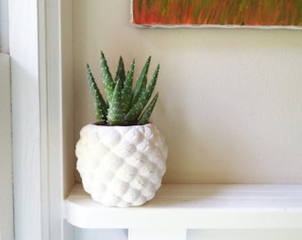 Pineapple planter, pineapple gift, pineapple succulent pot, Succulent planter, tiki decor, beach house, housewarming gift, hospitality