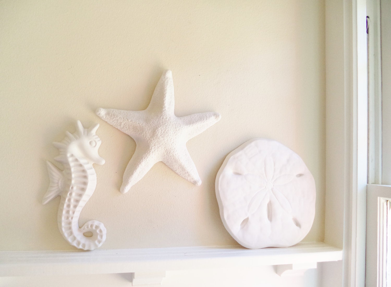 Large starfish wall hanging sculpture, large sea shell