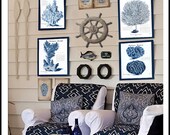 CORAL PRINTS, BLUE Coral, Coral Art, Coral Pictures, Beach Decor, Beach Art, Blue Set B of 4 Prints