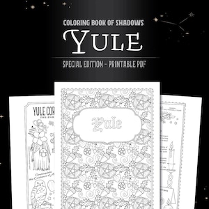 Le Livre des ombres à colorier : édition spéciale de Noël PDF