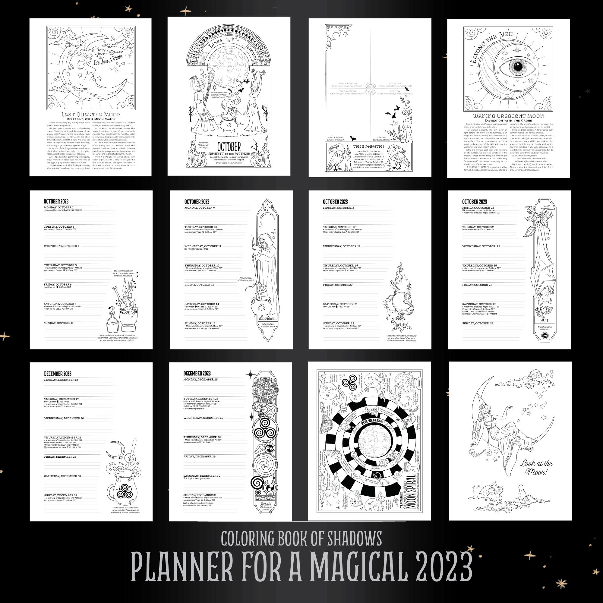 Coloring Book of Shadows: Planner for a Magical 2021 by Cesari, Amy  9781072407317