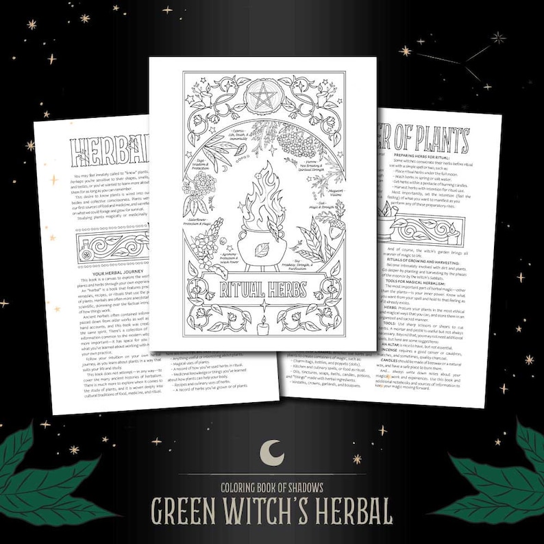 Coloring Book of Shadows: Green Witch's Herbal - Etsy