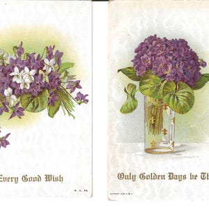 Paire de cartes postales Violettes/Journées d'or, 1910