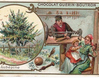 Hawthorne Tree French Chocolate Trade Card, ca. 1880