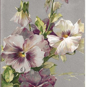 RESERVED FOR MANUELA - Silberne Stiefmütterchen Geburtstags Postkarte, 1909