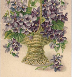 Korb mit Veilchen Geburtstags-Postkarte, c. Um 1910