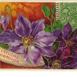 Clematis Geburtstags-Postkarte, 1916
