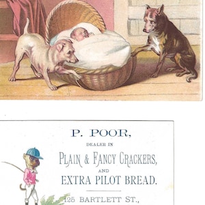 RESERVIERT FÜR JENNIFER - Paar Hundetauschkarten, c. Um 1880