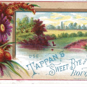 RESERVIERT FÜR KAYE - Herbst Szene Beauty Trade Card, 1882