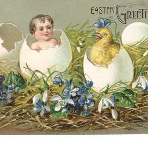 RISERVATO AD ANGELA - Cartolina di Pasqua con pulcini insoliti, c. 1910