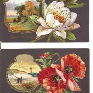 RESERVADO PARA MANUELA - Par de postais com paisagens florais em negrito, 1911