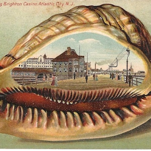 May include: A vintage postcard featuring a large, textured tan and brown seashell with a central cutout displaying a scene of the Boardwalk showing Brighton Casino, Atlantic City, N.J. The interior image depicts a wooden boardwalk with buildings.