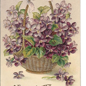 Vergoldeter Korb mit Veilchen Geburtstags-Postkarte, c. Um 1910