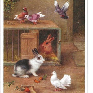 RESERVADO PARA TATIANA - Cartão postal assinado pelo artista "Coelhos e Amigos", c. 1950