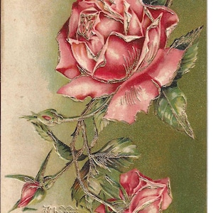 RESERVED FOR ADRIENNE - Rosa Rosen Geburtstagspostkarte, c. Um 1910