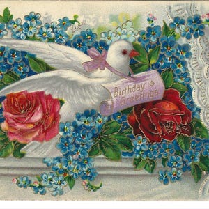 Spitzengardine Lovebird mit Vergissmeinnicht und Rosen Geburtstagspostkarte, c. Um 1910