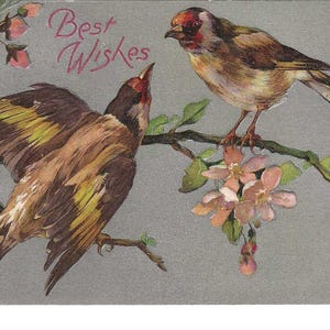 Carte Postale Argentée Oiseaux Fleurs de cerisier Meilleurs Vœux, 1910