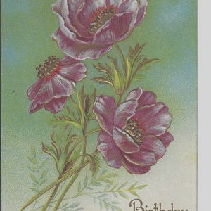 Anemones Geburtstagspostkarte, 1910