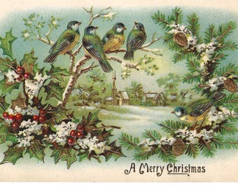 RESERVADO PARA ADRIENNE - Cartão-postal de pássaros azuis para o Natal, c. 1910