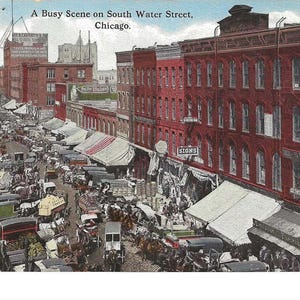 Cartolina fotografica del mercato di strada di Chicago, c. 1910