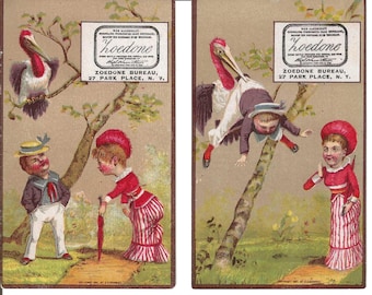 Coppia di figurine commerciali raffiguranti strane piante medicinali per uccelli, 1887