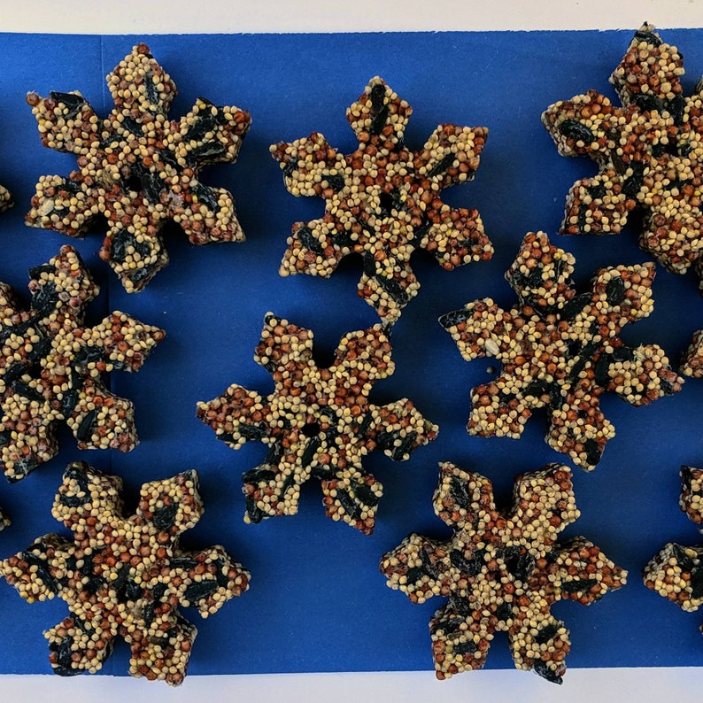 May include: A collection of nine snowflake-shaped bird feeders made of birdseed and black sunflower seeds. The feeders are arranged on a blue surface.