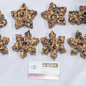 Wild Bird Seed Bird Feeder Ornament Feeder- Set of 12 - 6 Texas Snowflakes and 6 Holiday