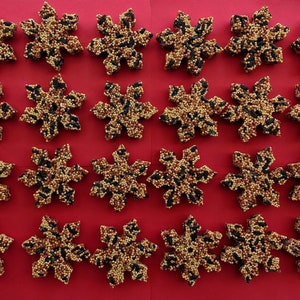 May include: A red surface with 20 snowflake-shaped bird feeders made of birdseed. The feeders are arranged in rows of four, with five rows total.