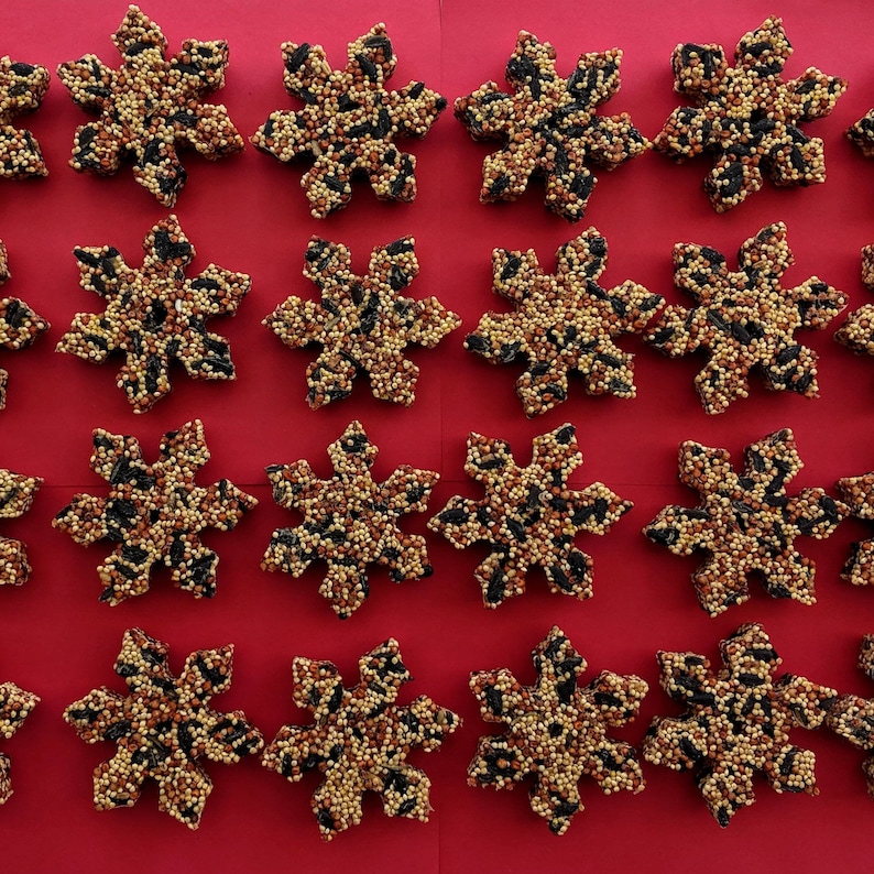 May include: A red surface with 20 snowflake-shaped bird feeders made of birdseed. The feeders are arranged in rows of four, with five rows total.