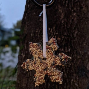 May include: A snowflake-shaped bird feeder made of birdseed and held together with a clear gel. The feeder is hanging from a tree branch with a white ribbon.